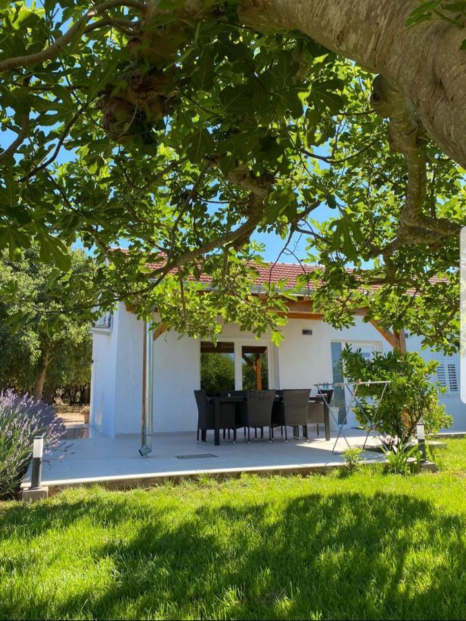 Holiday House Lucia Sukošan エクステリア 写真